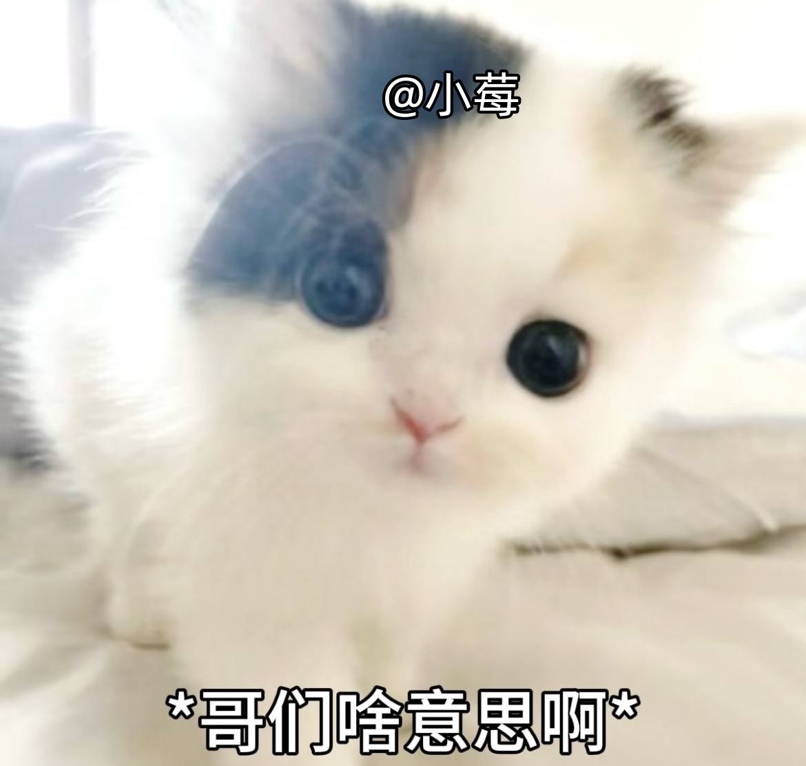為什麼現在這麼多人選擇外送茶而不是普通風俗店？